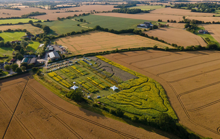 Unearthing Rural Potential for Businesses in Essex