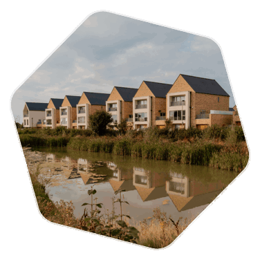 Small pond surrounded by plants and greenery with a row of new build houses overlooking the pond